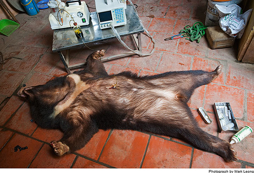 ����ĵ������˼�-��ֹͣ���ж���������