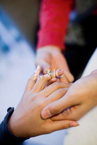 ���������һҳ