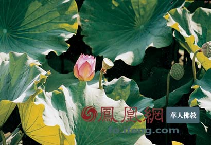 �㳬��ʦ��������ԸƷ����ν����ʮ��Ը