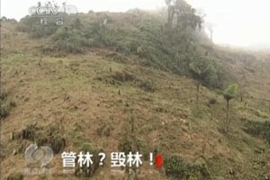 ���ꡪ��д��������ʵ֮�䣨ֻ�з�š����������ܾ���������