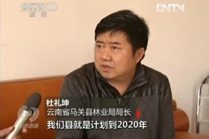 ���ꡪ��д��������ʵ֮�䣨ֻ�з�š����������ܾ���������