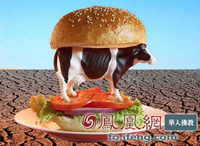 ���������һҳ