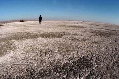 ���������һҳ