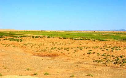 ���������һҳ