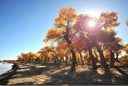 ���Ԣ�ԣ�ũ��İ�����