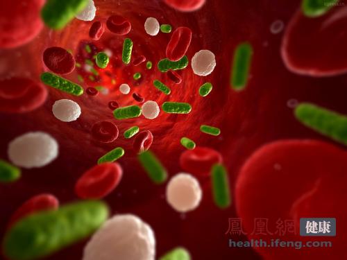 ���������һҳ