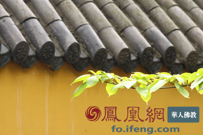 Ϊ��ʥ������һ�ݾ�η_���ͷ�ʦ����ͷ����