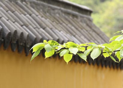 Ұʷƴ�ӣ��ڽ̳������ű����������