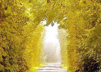 �������£�������ū��