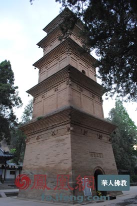 ���������һҳ