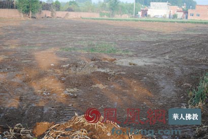 ���������һҳ