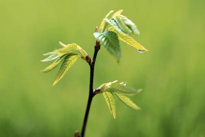 �������£�С����Ĺ���