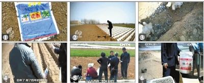 种姜用剧毒农药 不出口专内销