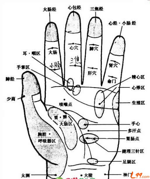 ������Ƭ����