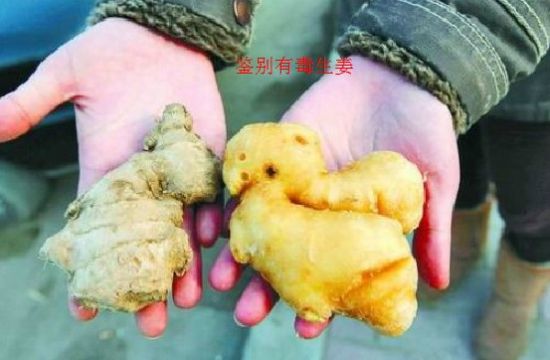 �����ж�����