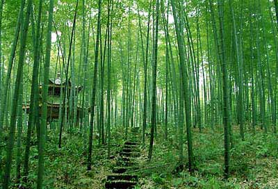 �������£�������г���