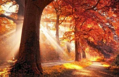 �������£�һ����˵��������