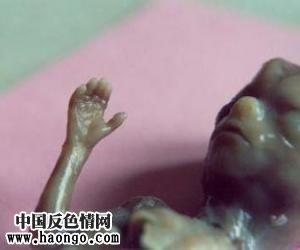 ��̥̥����ʵ��Ƭ����С�����ಡ���룡��