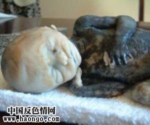 ��̥̥����ʵ��Ƭ����С�����ಡ���룡��