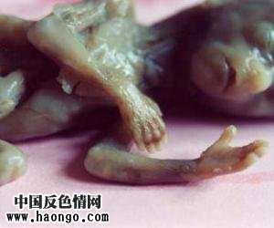 ��̥̥����ʵ��Ƭ����С�����ಡ���룡��