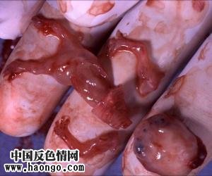 ��̥̥����ʵ��Ƭ����С�����ಡ���룡��