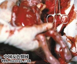 ��̥̥����ʵ��Ƭ����С�����ಡ���룡��