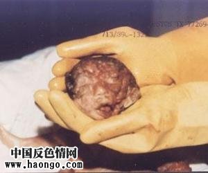 ��̥̥����ʵ��Ƭ����С�����ಡ���룡��