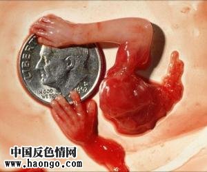 ��̥̥����ʵ��Ƭ����С�����ಡ���룡��