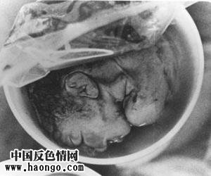 ��̥̥����ʵ��Ƭ����С�����ಡ���룡��