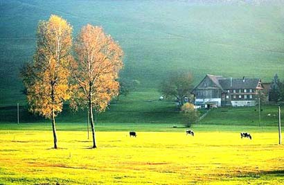 �������£��Լ������Լ�