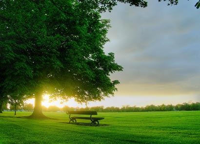 ���淨ʦ�������������������ֵ