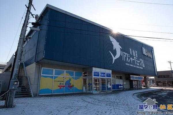 点击图片,在新窗口显示原始尺寸 揭露日本人的血腥鲨鱼交易,鱼翅热销是罪魁