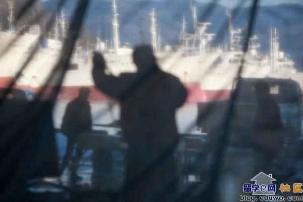 点击图片,在新窗口显示原始尺寸 揭露日本人的血腥鲨鱼交易,鱼翅热销是罪魁