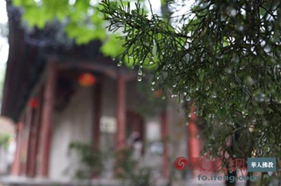 ���ͷ�ʦ���˽����¼��½׶�֮�����ٲ���