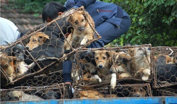 ���ֹ���ڴ�����ֻ������ʹ��