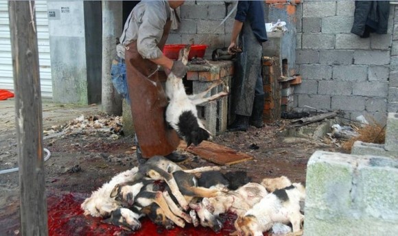 ���ֹ���ڴ�����ֻ������ʹ��