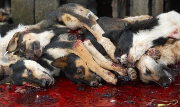 ���ֹ���ڴ�����ֻ������ʹ��