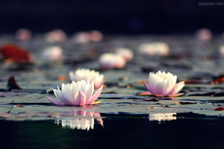 ���ӹ��£�ɱ��������а��