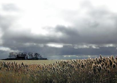 �𾭹��£�ҽ��ͺͷ����ʾ