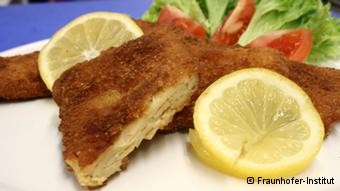 ���죬������ʳ������