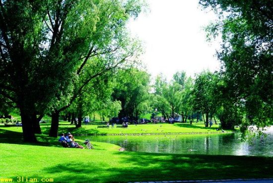 ���죬������ʳ������