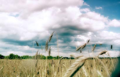 公案故事:谁能帮你解脱? 公案故事:谁能帮你解脱?