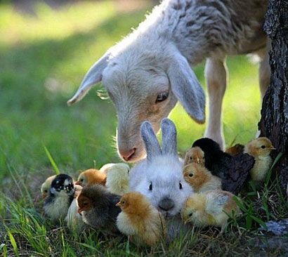 点击进入下一页 点击进入下一页