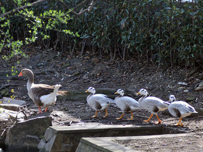 点击进入下一页 点击进入下一页