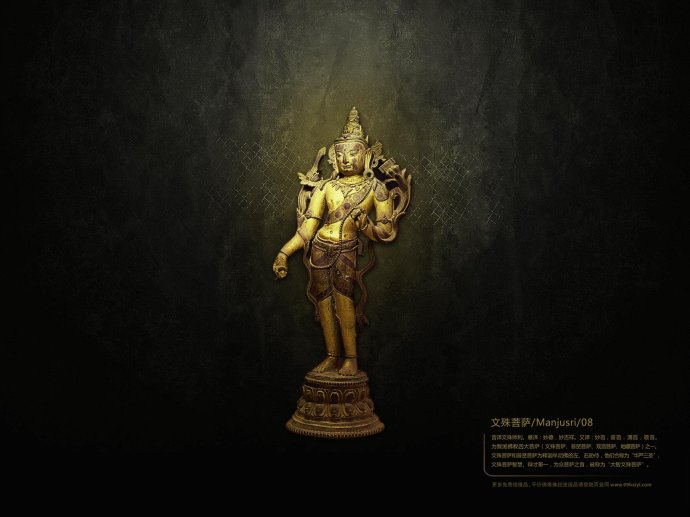 �ִ������Ӧ¼��ʮ�ģ���ʬ�����ʵ