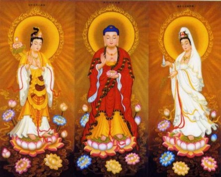 信愿法师:一定要正见,不要让人骗 信愿法师:一定要正见,不要让人骗