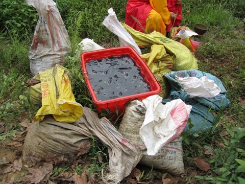 ���鷨ʦ�������᲻��̼�����ֳҵ�ķ�չ