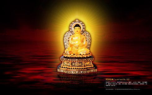 �ִ������Ӧ¼��ʮ������׽����