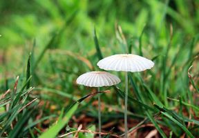 ֤�Ϸ�ʦ�����ӽ̵��������Ƶķ���