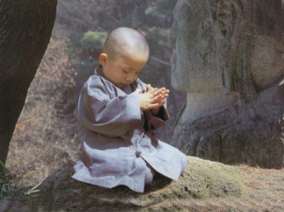 ���ӹ��£�ϴ�ŵ�ľ��